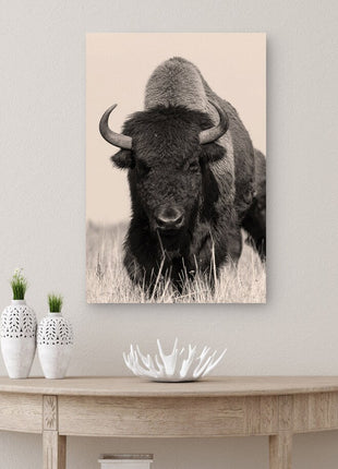 Bison Canvas Print • Bison Canvas Wall Art