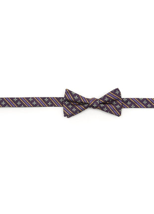 Mardi Gras Stripe Bow Tie