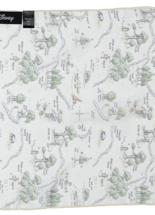 Disney Winnie the Pooh Map Pocket Square