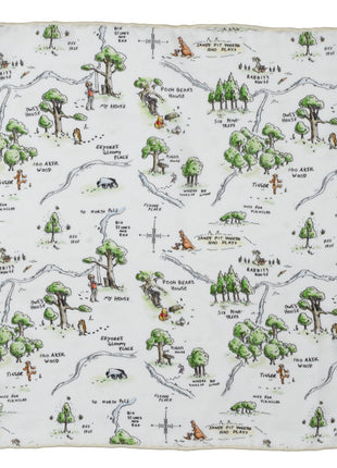 Disney Winnie the Pooh Map Pocket Square