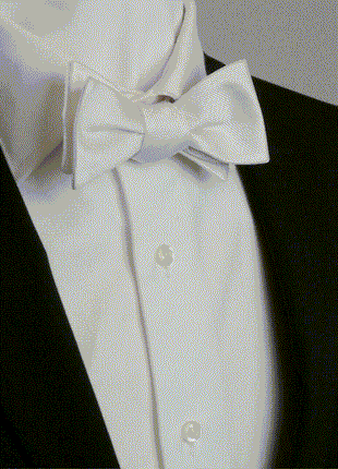 White Silk Self Bow Tie