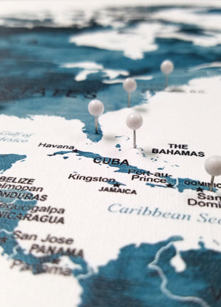 Push Pin World Travel Map