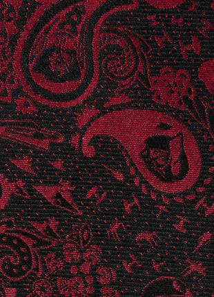 Star Wars Darth Vader Black and Red Paisley Tie