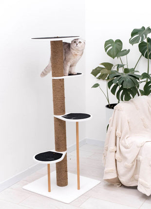 Cat Climbing Tower