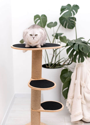 Cat Climbing Tower
