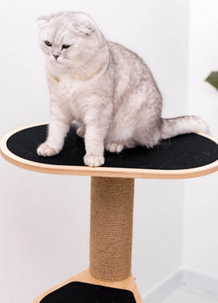 Small Cat Tower