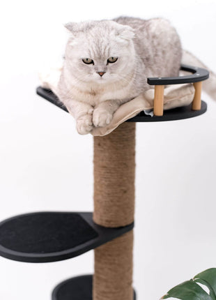 Small Cat Tree