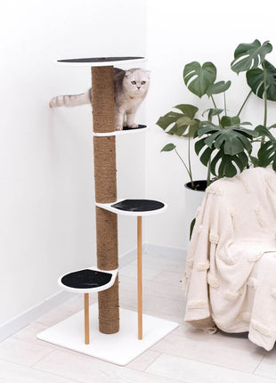 Cat Climbing Tower