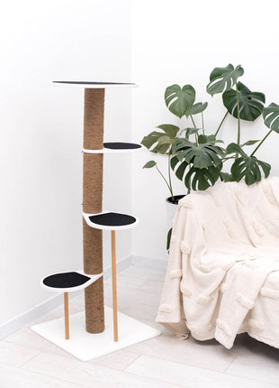 Cat Climbing Tower
