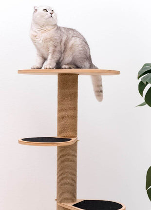 Small Cat Tower