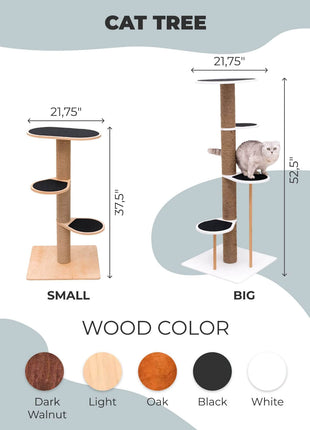 Cat Climbing Tower