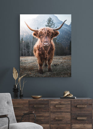 Highland Cow Canvas - Canvas Wall Art