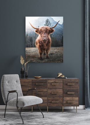 Highland Cow Canvas - Canvas Wall Art