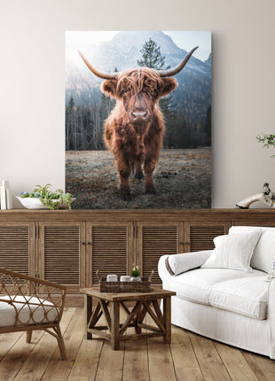 Highland Cow Canvas - Canvas Wall Art