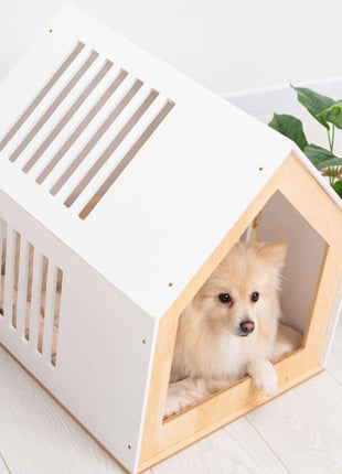 Modern Indoor Dog House