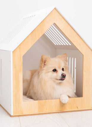 Modern Indoor Dog House