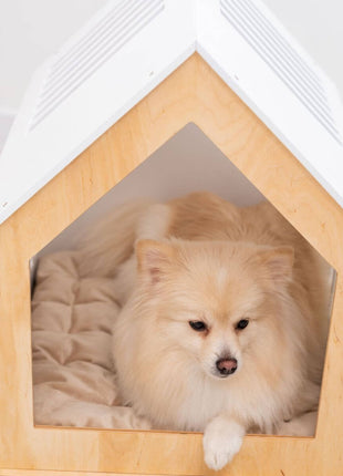 Modern Indoor Dog House