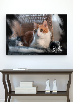 Personalized Dog/Cat Memorial Gift