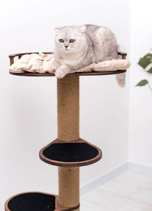 Small Cat Tree