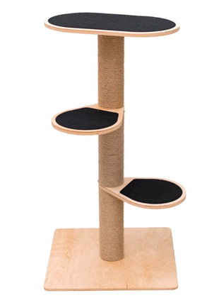 Cat Climbing Tower